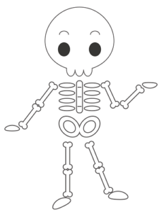 骨模型